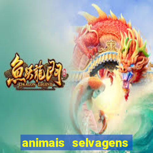 animais selvagens fotos e nomes